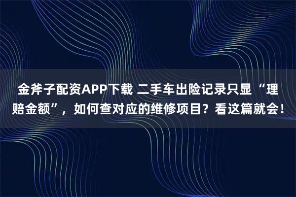金斧子配资APP下载 二手车出险记录只显 “理赔金额”，如何查对应的维修项目？看这篇就会！